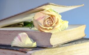 rose, book, old book-2101475.jpg